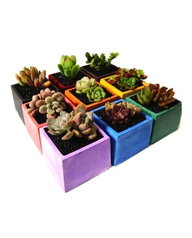 Kod:3360 - Beton Tozu Kiremit 5Kg