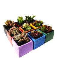 Kod:3360 - Beton Tozu Kiremit 5Kg