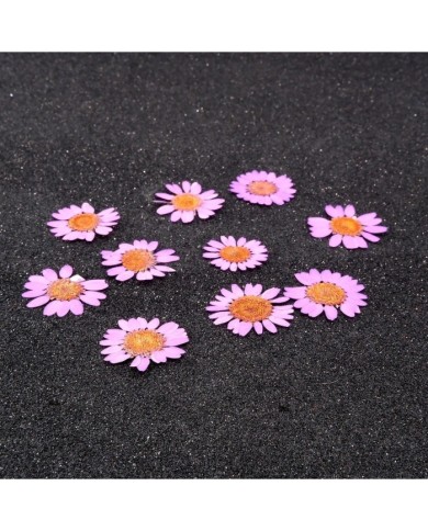 Kurutulmuş Papatya - Pembe 10 Adet