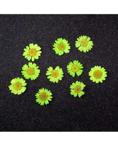 Kurutulmuş Papatya - Fıstık Yeşil 10 adet