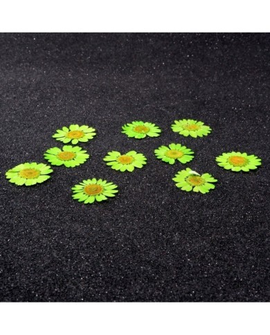 Kurutulmuş Papatya - Fıstık Yeşil 10 adet