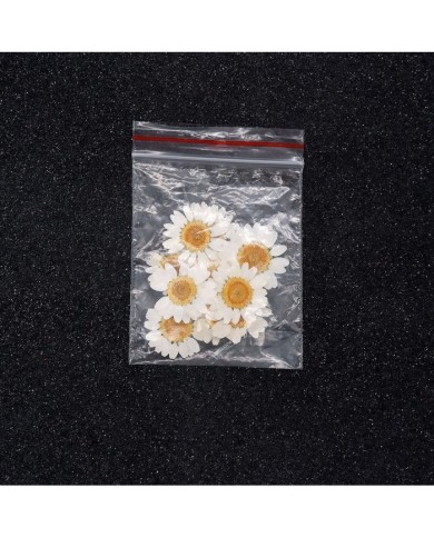 10 Adet -Kurutulmuş Papatya - Beyaz Tonları 10 Adet