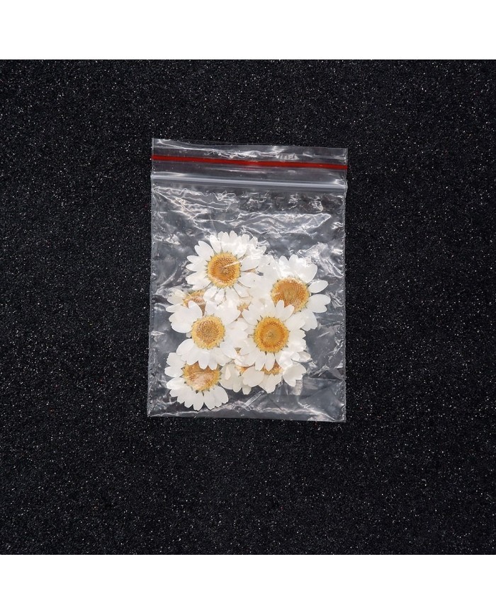 10 Adet -Kurutulmuş Papatya - Beyaz Tonları 10 Adet