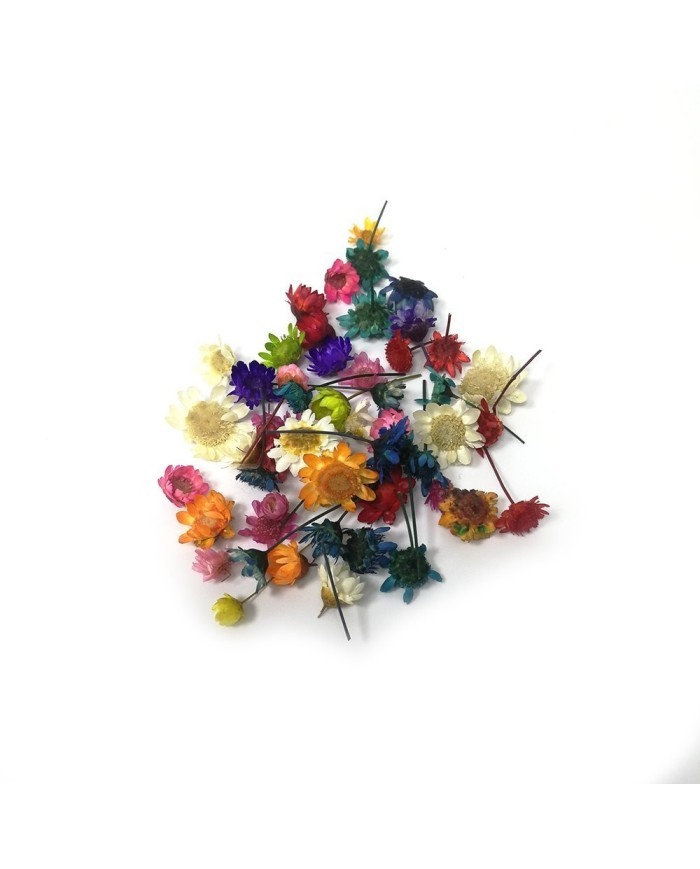 Mini Kurutulmuş Çiçekler - Mix