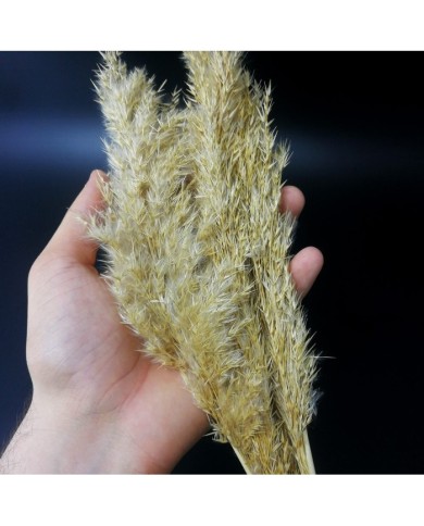 Kurutulmuş Çiçek - Ot