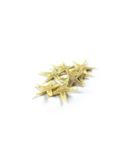 Renkli Deniz Taşı Parçaları -25gr