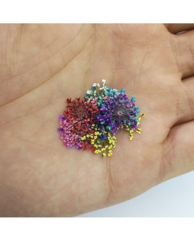 Sultan Otu - Kurutulmuş Çiçek Karışık Renkler - 15 adet