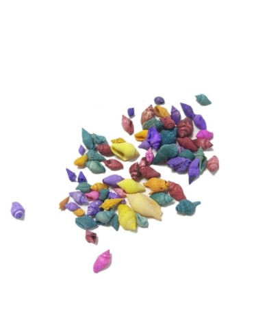 Deniz Kabuğu - Karışık Renk - 25 gr