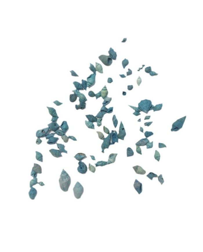 Deniz Kabuğu - Mavi Renk 25 gr