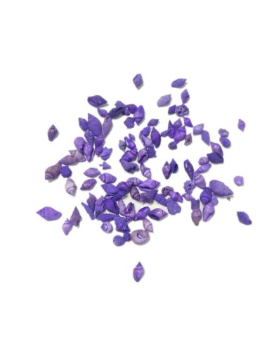 Deniz Kabuğu - Mor 25 gr