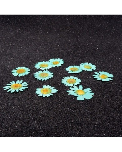 Kurutulmuş Papatya -Turkuaz Mavi 10 Adet