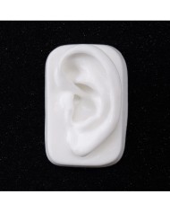 Silikon Kulak Alt Çerçeveli Sol 25 Adet - Takı ve Bijuteri Küpe Mankeni