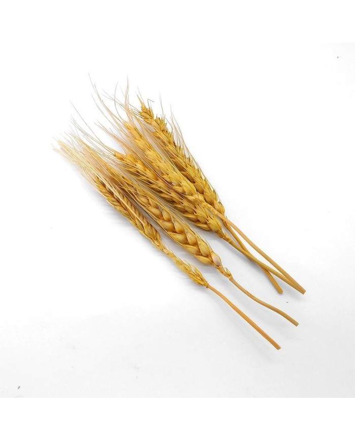 Kurutulmuş Çiçek - Kuru Başak Otu