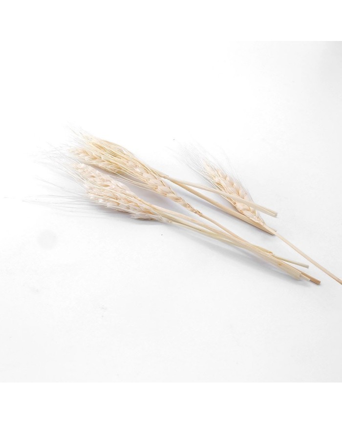 Kurutulmuş Çiçek - Kuru Başak Otu