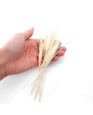 Kurutulmuş Çiçek - Kuru Başak Otu