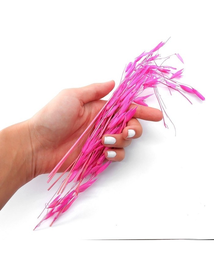 Kurutulmuş Çiçek - Kuru Yulaf Otu