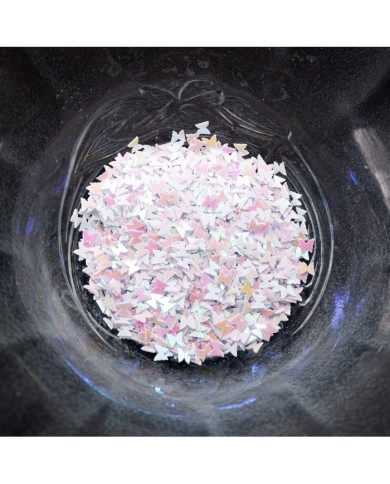 Mini Kelebek Hologram Pul Paketi - 5 gram - Epoksi Süsleme Pulu