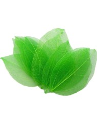 Kumaş Yaprak - Fıstık Yeşili - 3 Adet