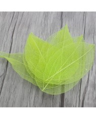 5li Kumaş Yaprak - Sarı