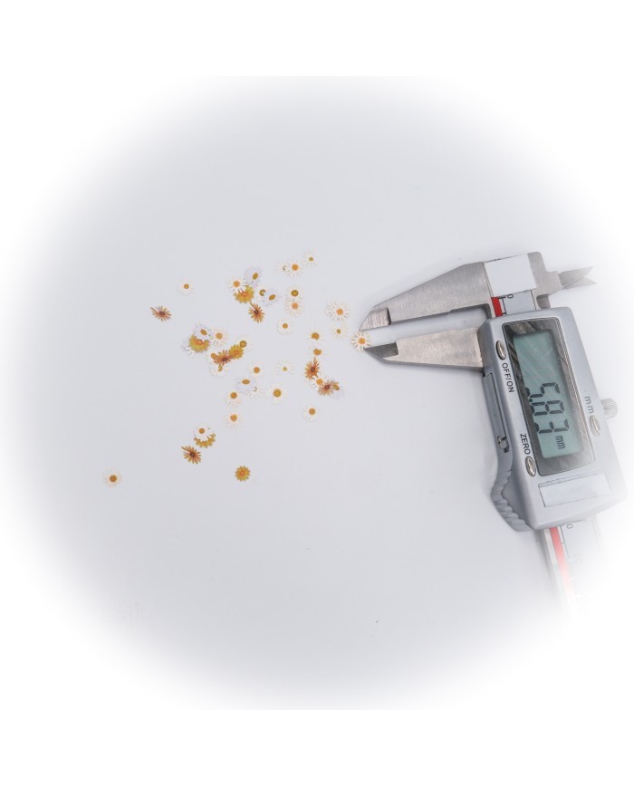 5D Renkli Mini Sarı Papatya