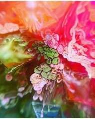 Alkol Bazlı Epoksi Mürekkep Boya   15 cc - Kırmızı Ebru Pigment