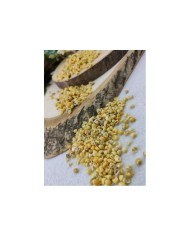 Denız kabuğu - 25 gr