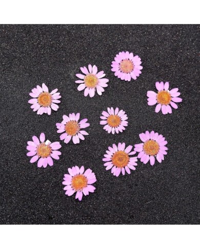 Kurutulmuş Papatya - Açık Pembe 5 Adet