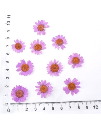 Kurutulmuş Papatya - Açık Pembe 5 Adet