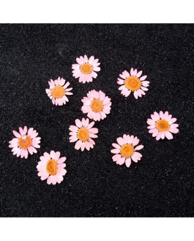 Kurutulmuş Papatya - Açık Pembe 5 Adet