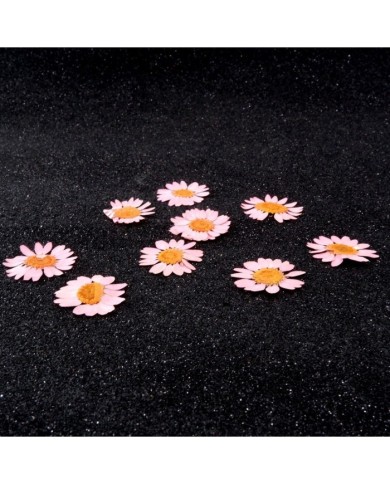 Kurutulmuş Papatya - Açık Pembe 5 Adet