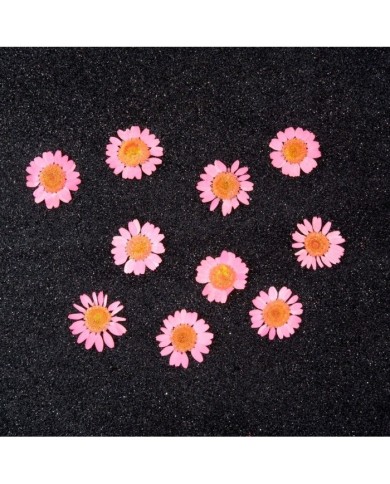 Kurutulmuş Papatya - Pembe 5 Adet