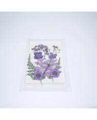 mor Kuru  Çiçek  Papatya Dal Cipso Set