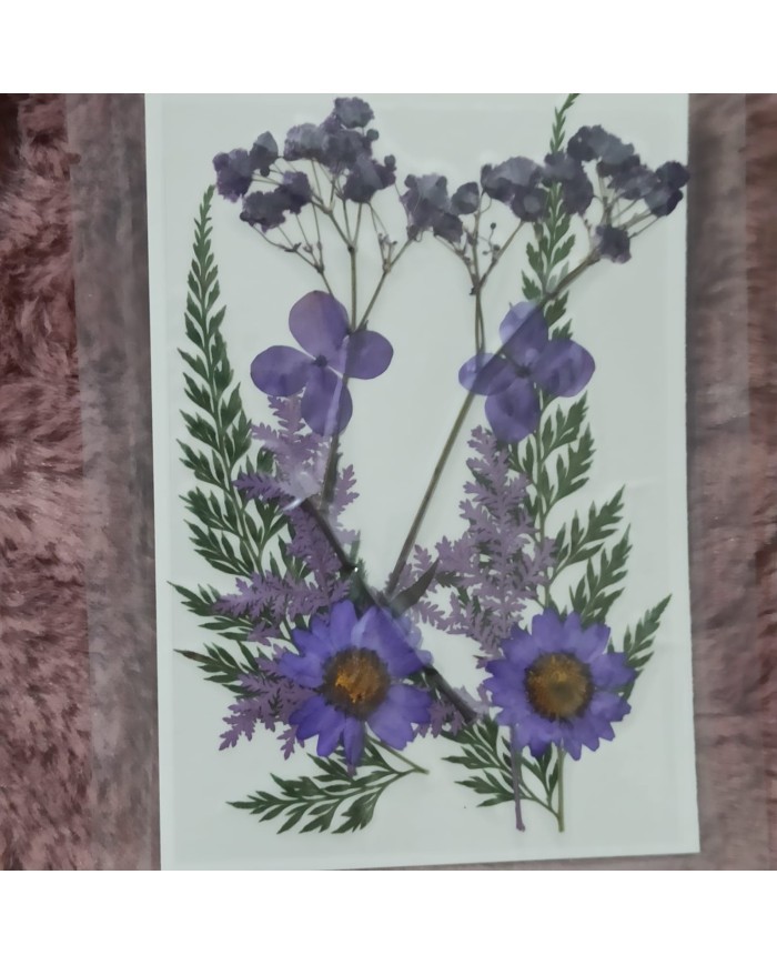 mor Kuru  Çiçek  Papatya Dal Cipso Set