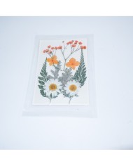 Turuncu Kuru  Çiçek  Papatya Dal Cipso Set