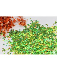 Deniz Kabuğu Figürlü Pul - 25 Gr