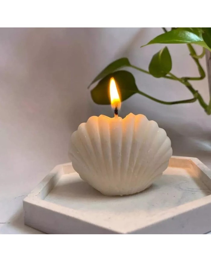 Büyük İstiridye Mum Kalıbı - Hobi Silikon Kalıbı -Kod:1059 Büyük