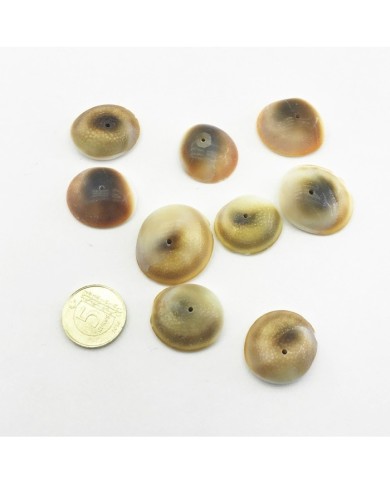 Deniz Kabuğu Ürünü Ortadan Delik 25gr paket